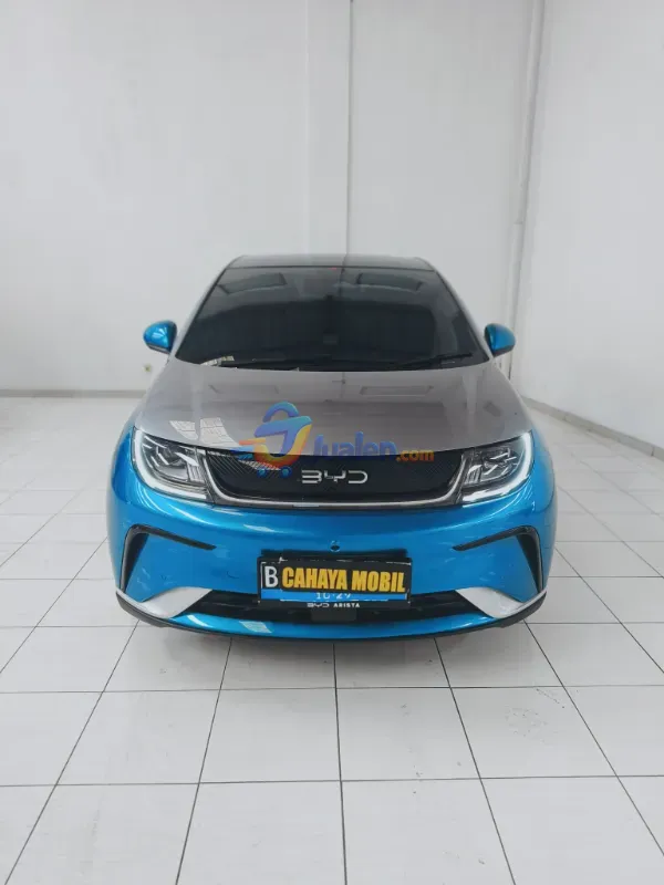 BYD Dolphin Premium 2024